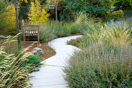 Kay's Garden, Santa Fe, NM. Photo by Lee Anne White, www.leeannewhite.com
